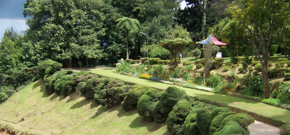 Sri Lanka, Sri Lanka, Информация об Экскурсии ( Ботанический Сад Хакгала<br>Xakgala Botanical Garden)> на сайте любителей путешествовать www.dta.odessa.ua